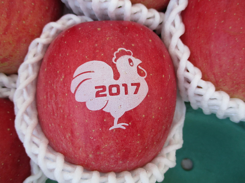 red apple fruit HD wallpaper