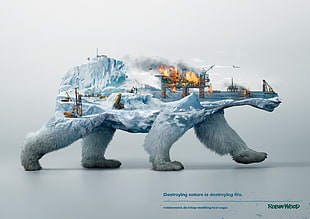 polar bear illustration HD wallpaper