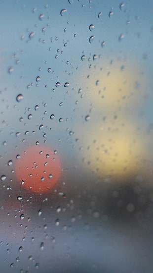 bokeh photography of water droplets, rain, wet