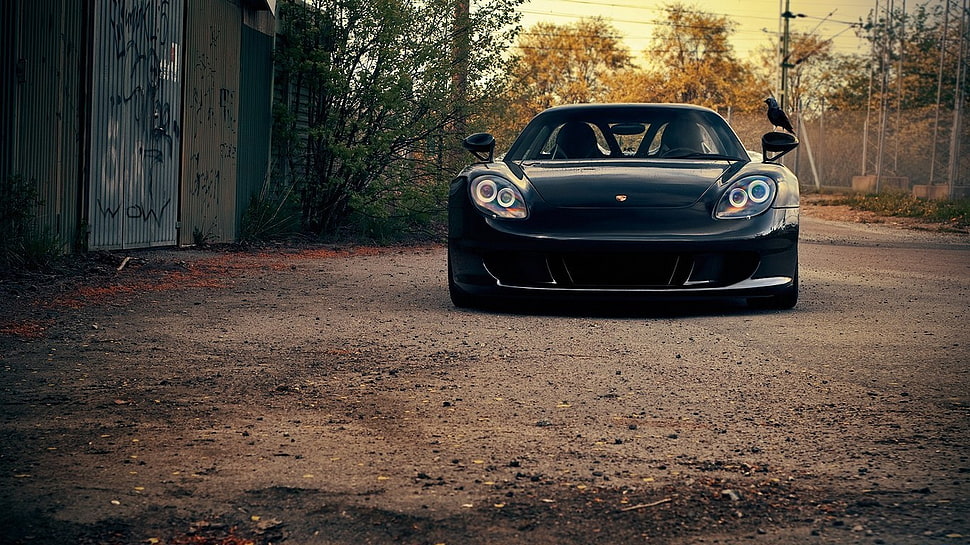 black car, Porsche Carrera GT, car, Porsche HD wallpaper