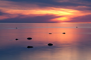 rocks submerged in water during sunset
