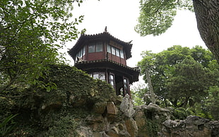 2-storey building on cliff near trees