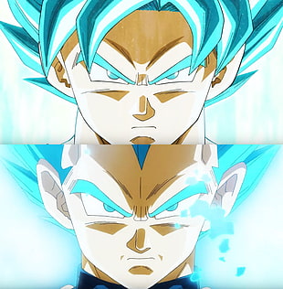 Son Guko and Vegeta collage, Vegeta, Son Goku, Super Saiyan Blue, Dragon Ball Super