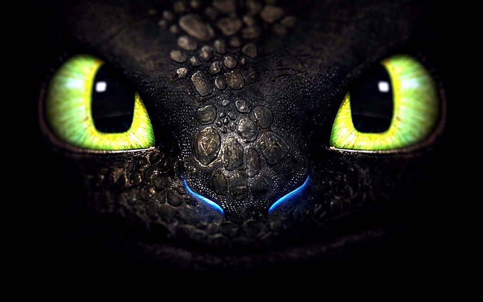 How To Train Your Dragon Toothless graphic wallpaper HD wallpaper