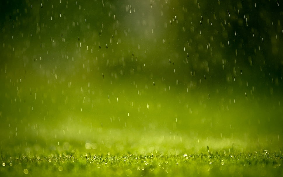 Rain Drops HD wallpaper