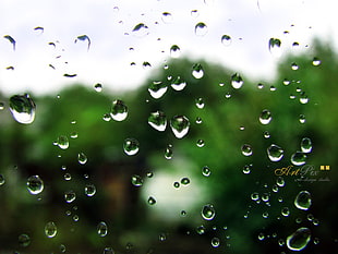 dew drop, rain, window, water on glass HD wallpaper