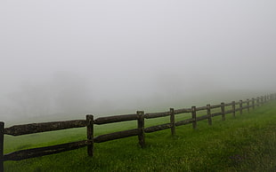 black wooden fence surrounded by green grass and fogs