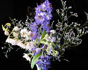 bouquet of purple and white petaled flowers