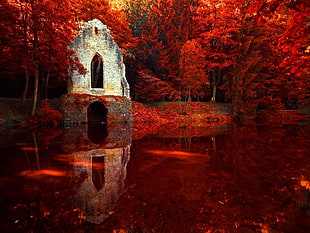 gray ruin building beside body of water and red trees digital wallpaper