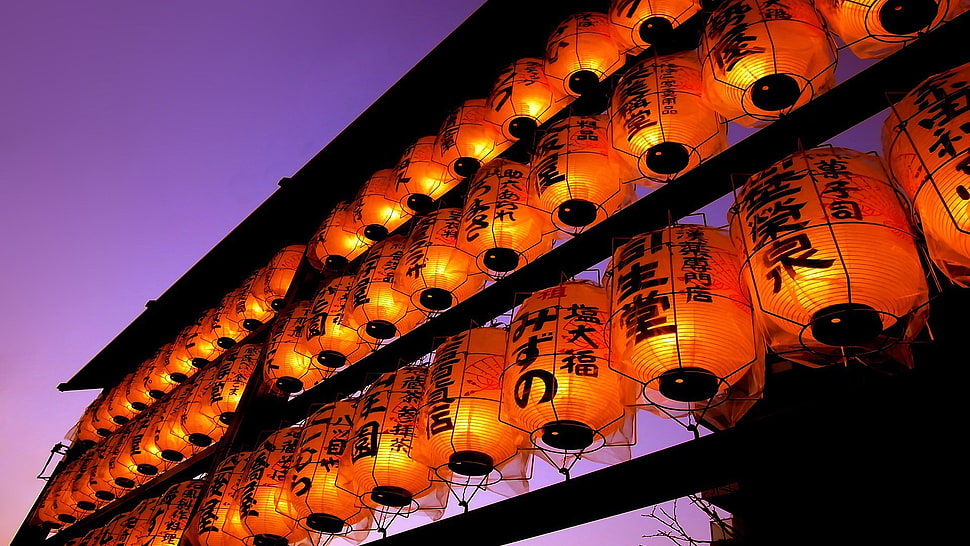 red Chinese lantern lot, photography, lights, lantern HD wallpaper