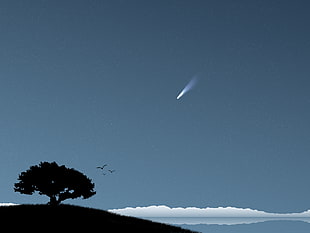 silhouette of lone tree, trees, stars, comet, artwork