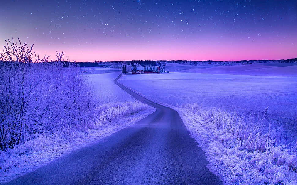 black asphalt road, landscape, nature, road, winter HD wallpaper