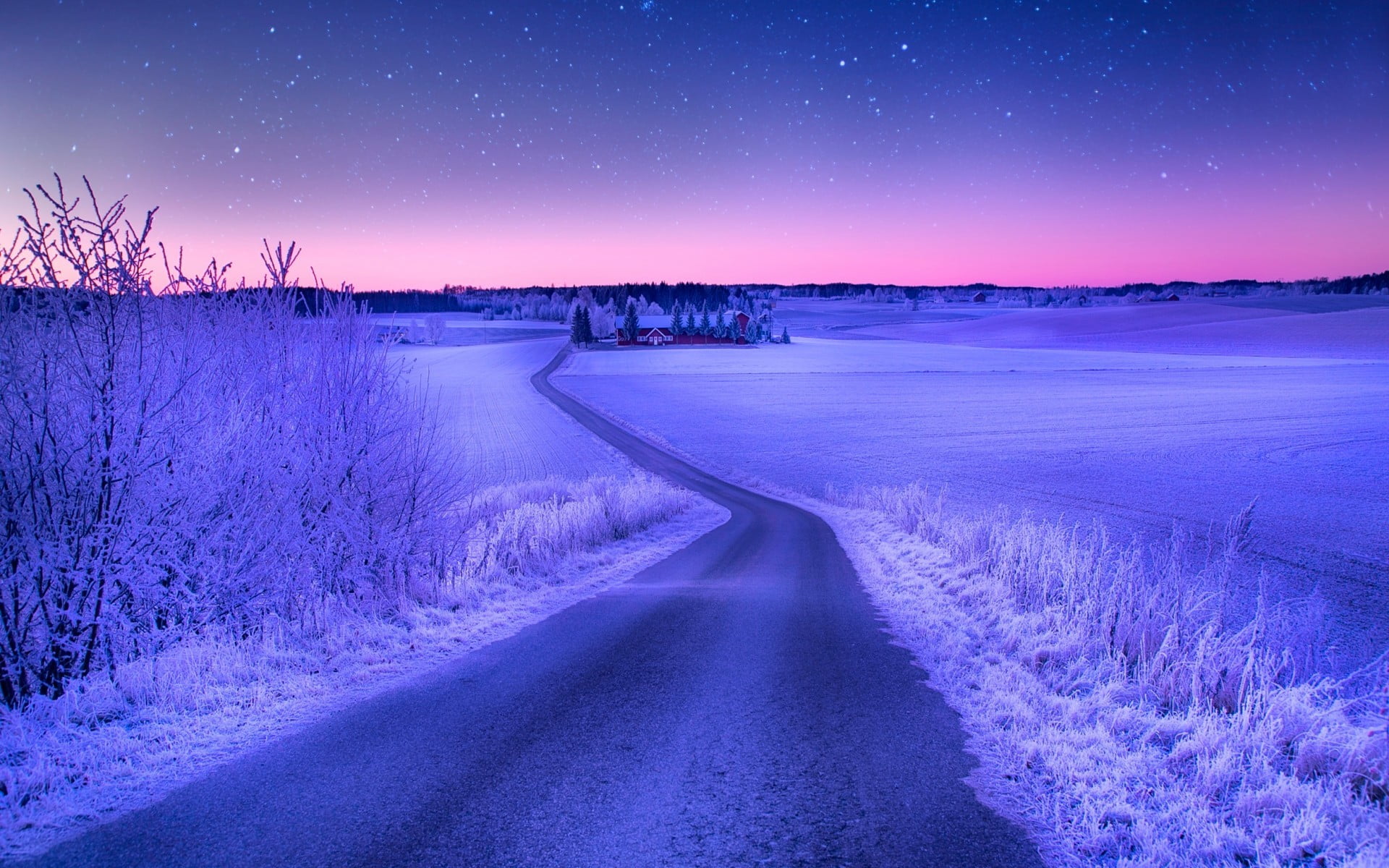 black asphalt road, landscape, nature, road, winter