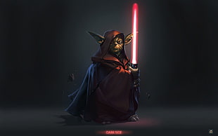 Star Wars Dark Side Master Yoda digital wallpaper