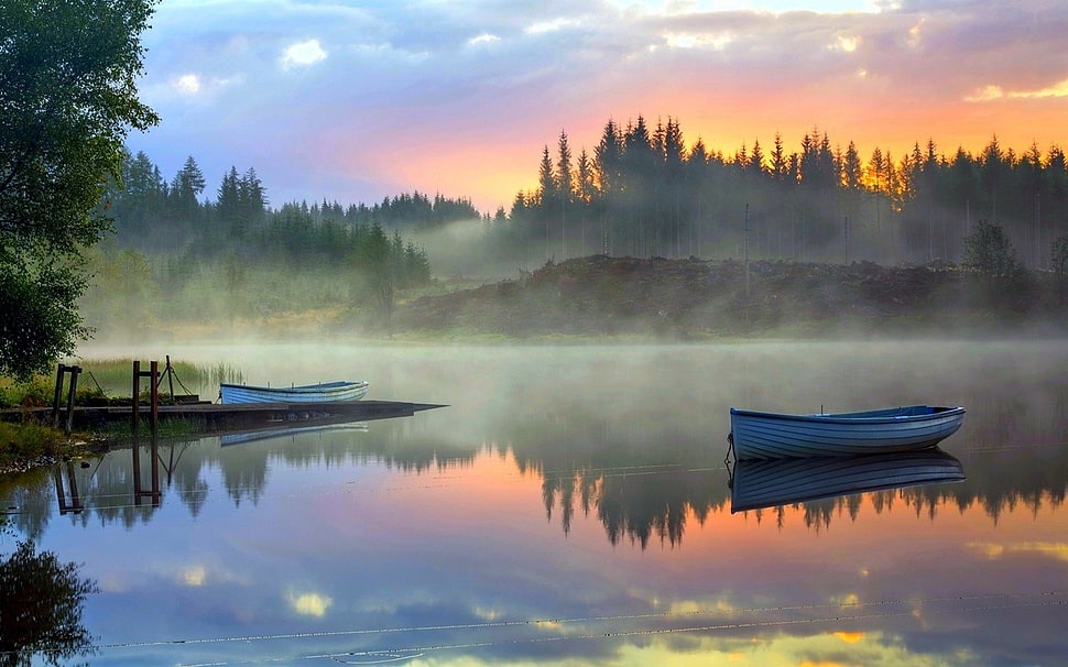white canoe illustration, nature, landscape, mist, forest HD wallpaper