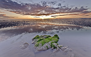 mossy rock in white sandy water