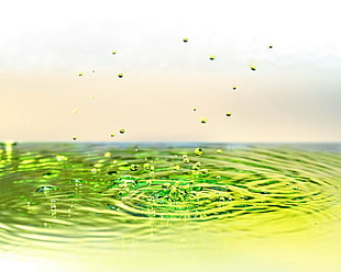 green water in close up photography HD wallpaper