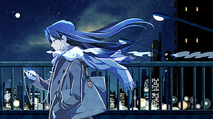 long-haired female anime character wallpaper, anime, winter