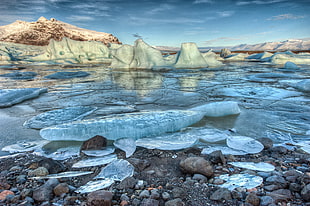 glacier bay during daytime HD wallpaper
