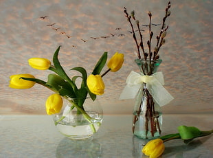 clear glass vase with yellow tulips HD wallpaper