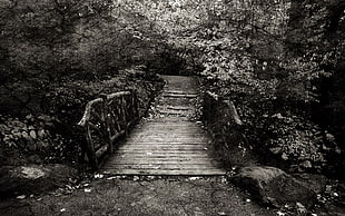 grayscale wooden bridge, trees, photo manipulation, monochrome, nature