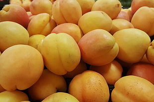 closeup photo of bunch of apple fruits