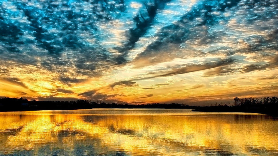 mountain with trees, sunset HD wallpaper
