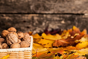 brown walnuts and brown maple leaf HD wallpaper