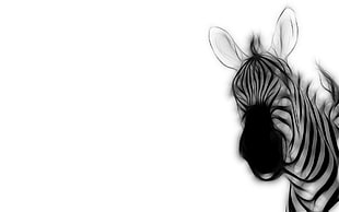 black and white zebra painting