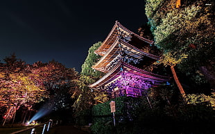 brown pagod, Tokyo, night HD wallpaper