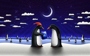 Penguins illustration HD wallpaper