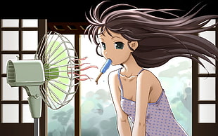 female anime character facing fan HD wallpaper