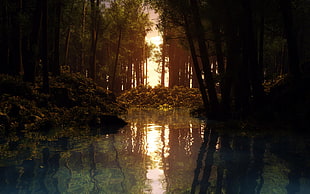 silhouette photo of a lake