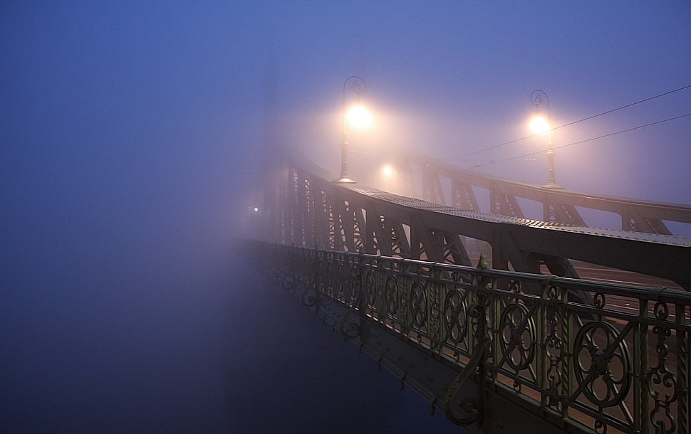 gray steel bridge, architecture, Budapest, bridge, mist HD wallpaper
