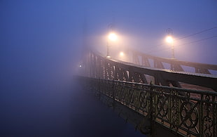 gray steel bridge, architecture, Budapest, bridge, mist