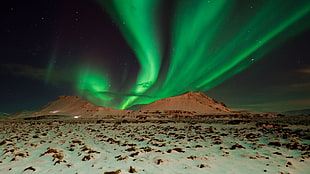Northern Lights, aurorae, sky, nature, night HD wallpaper