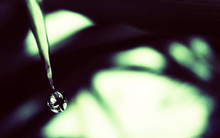 clear water drop in close-up photography