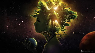 poster of green trees