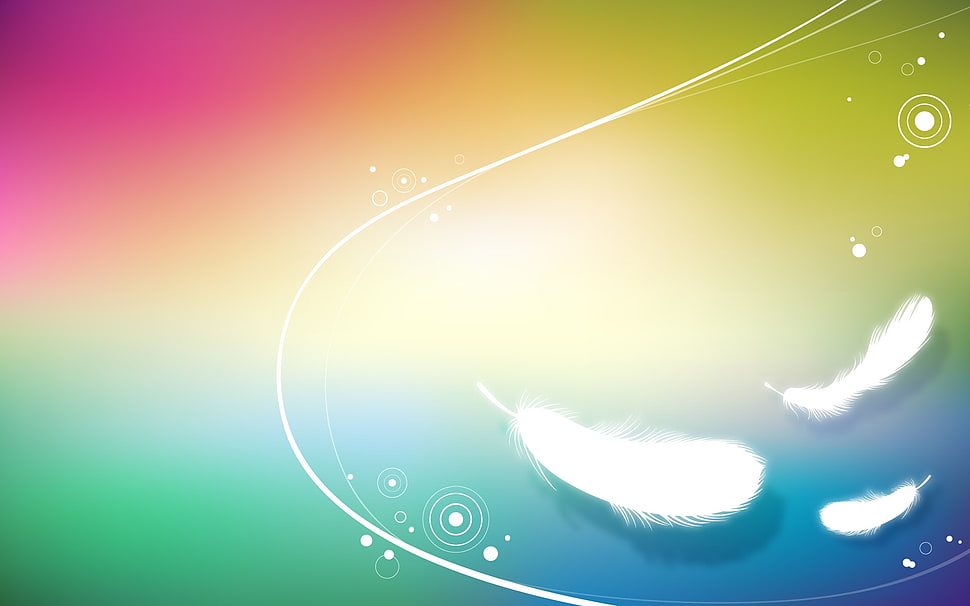 white feather digital wallpaper HD wallpaper