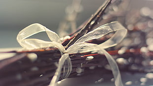 selective focus photo of brown twigs with ribbon bow