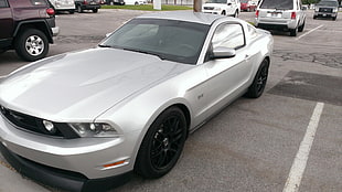 white and black Ford Mustang, Ford Mustang, car, vehicle, silver cars