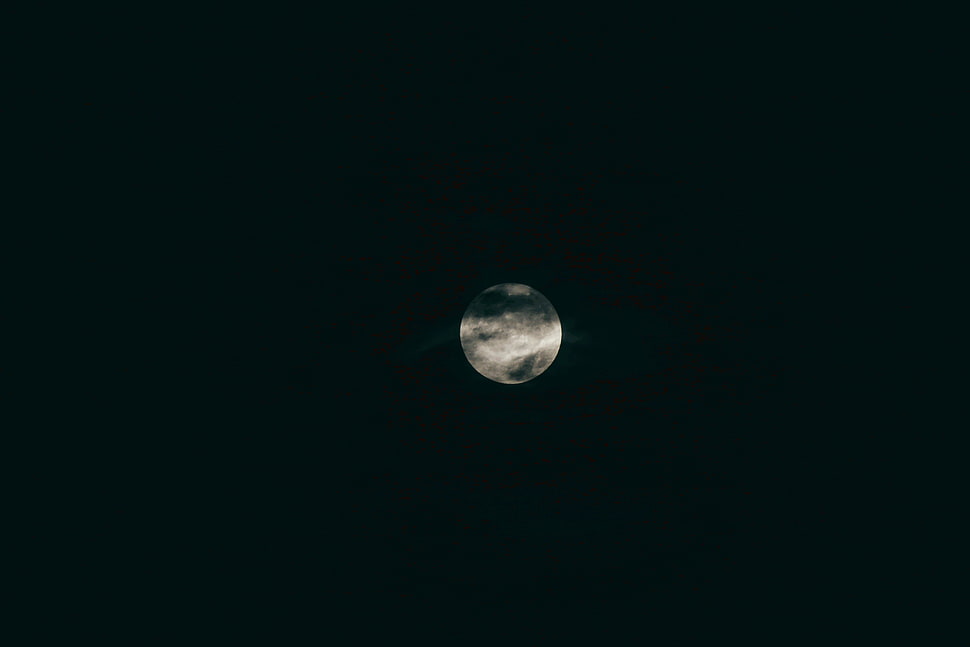 white and gray full moon HD wallpaper