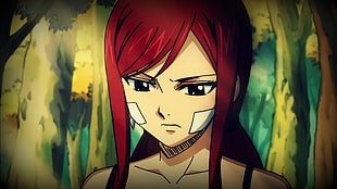 red haired female anime character, anime, Fairy Tail, Scarlet Erza HD wallpaper