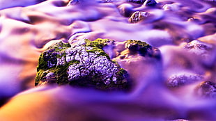 photo of purple and green wallpaper