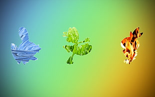 three blue, green, and brown Pokemon posters, Pokémon, Treecko, Mudkip, Torchic 