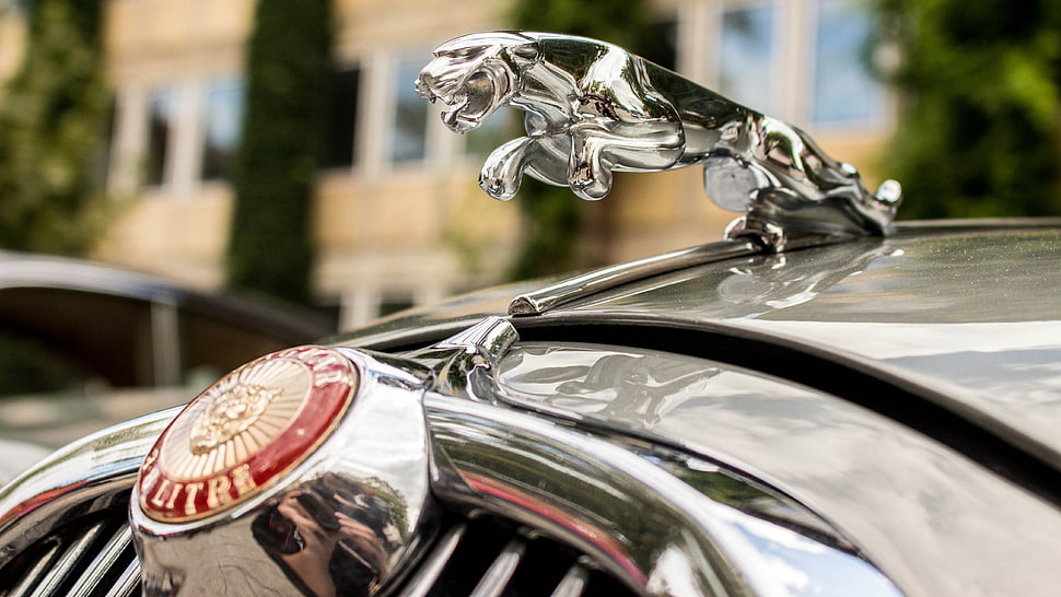 silver-colored and gold-colored ring, Jaguar, car HD wallpaper