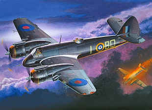 gray fighter plane, World War II, airplane, Bristol Beaufighter, military aircraft
