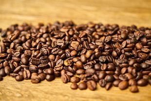 selective focus photography of coffee beans HD wallpaper
