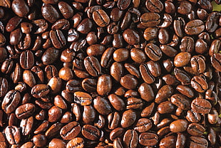 stack of coffee beans HD wallpaper