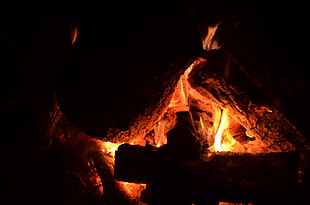 brown firewood, campfire, fire, orange, wood
